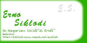 erno siklodi business card